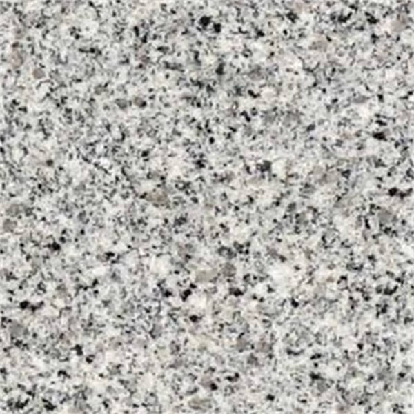 Padang Grey Poli