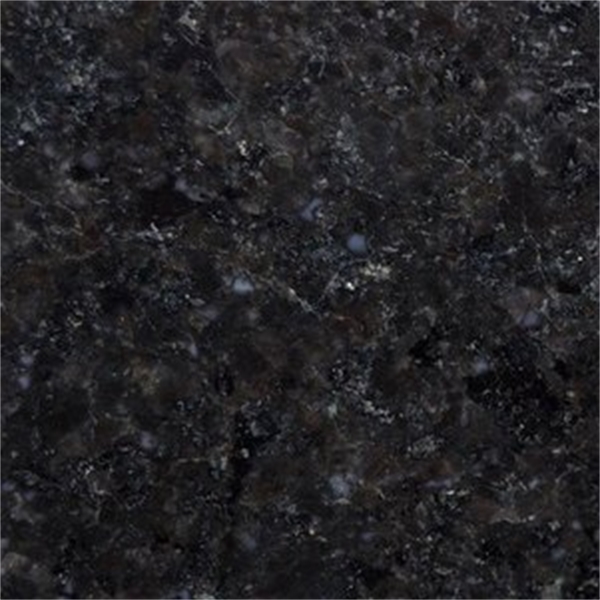 Black Pearl Poli