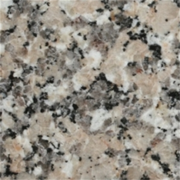 Crema Julia Poli