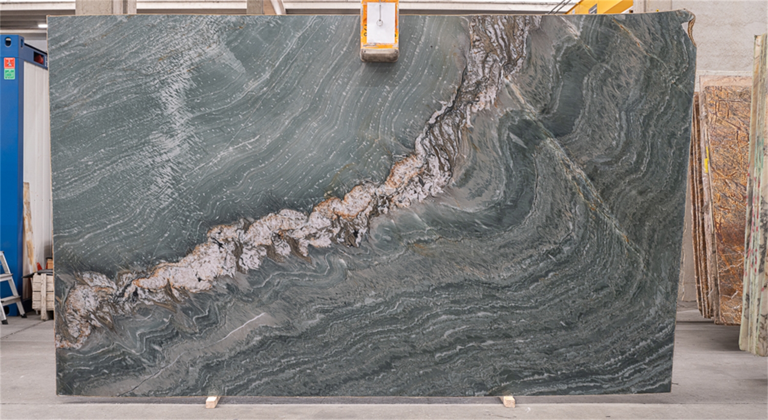 Patagonia Green Poli