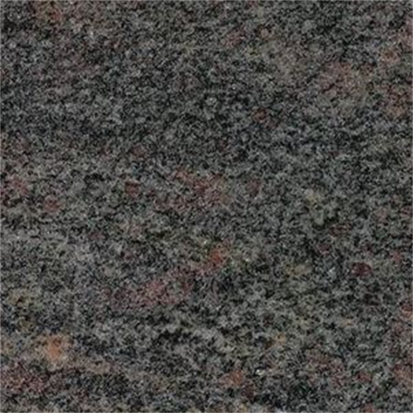 Paradiso Violet Anticato