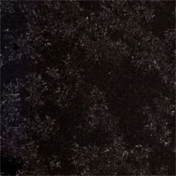 Black Mistral Poli